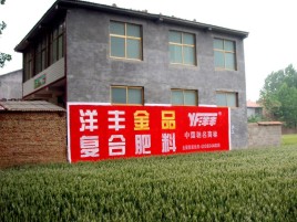桂平如何让墙体广告展现最大化效果