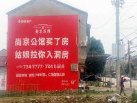 桂平墙体广告在乡镇、农村市场的媒体优势