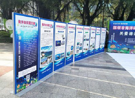 桂平KT板的种类和知识。